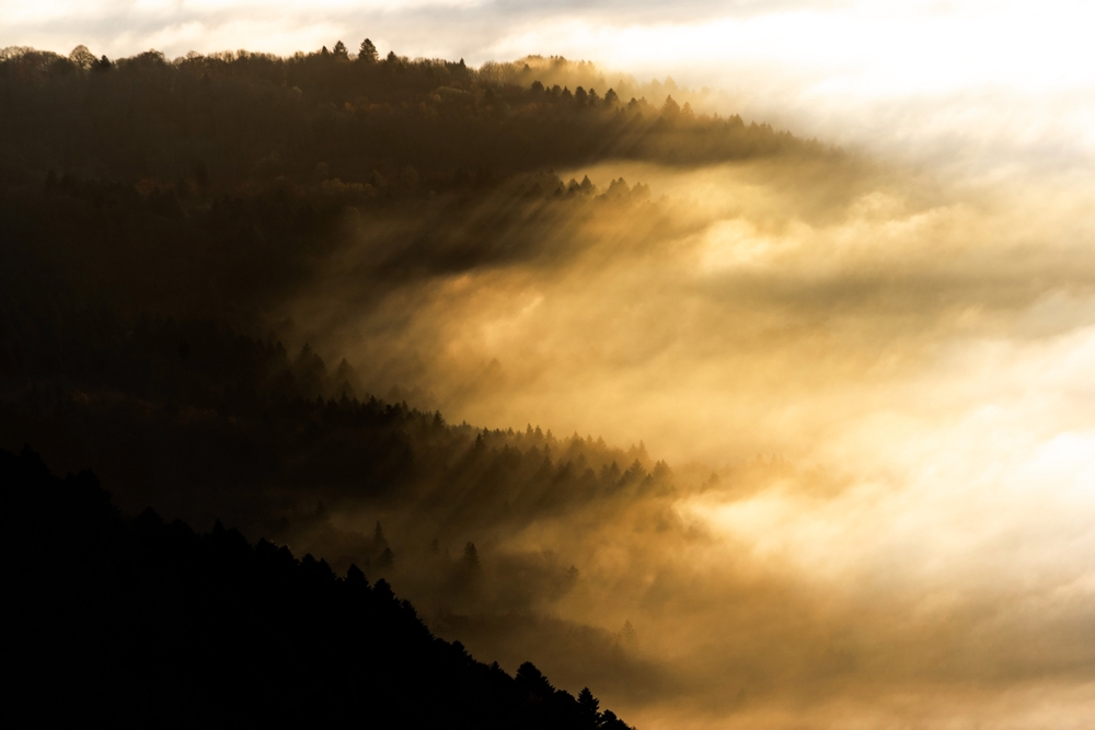 discernment in the bible